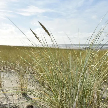 Cozy In On Dutch Coast *